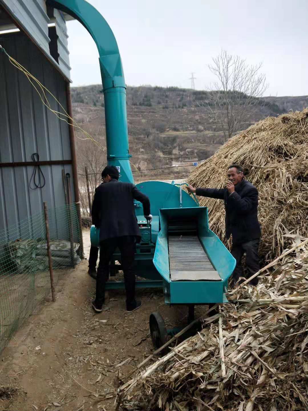 甘肃10吨铡草机通渭铡草揉丝机视频